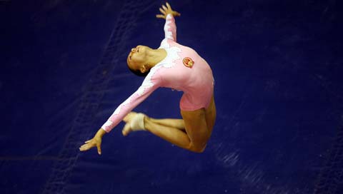 Artistic Gymnastics