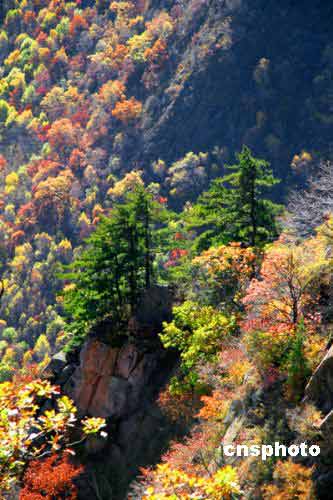 Red leaves scenic area opens to public