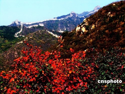 Red leaves scenic area opens to public