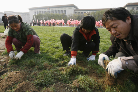 Imported grass grows at Tiananmen Square
