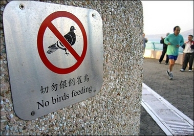 Beijing to dent bad English translations