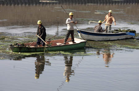 Olympic Park under construction