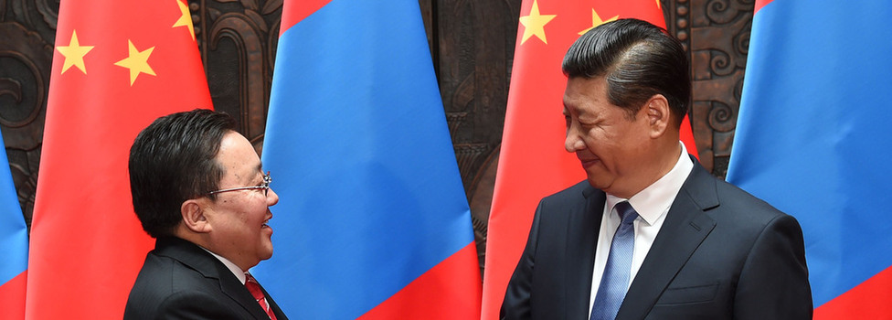 习近平会见蒙古国总统额勒贝格道尔吉