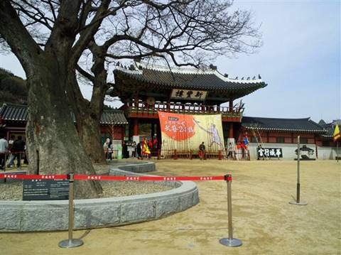 光哥的韩国生活（图）