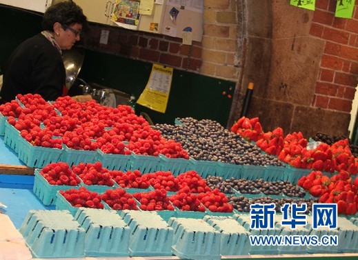 探访加拿大多伦多圣劳伦斯市场(组图)