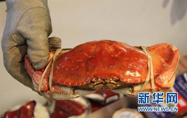 探访加拿大多伦多圣劳伦斯市场(组图)