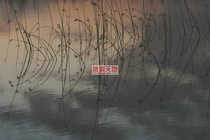 虚与实的世界——倒影摄影之美