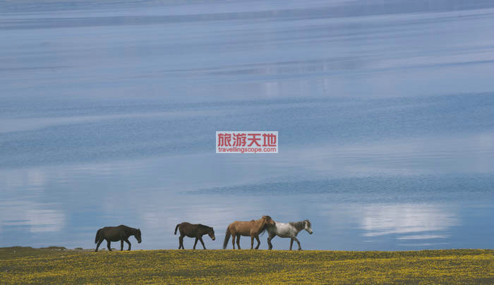 虚与实的世界——倒影摄影之美
