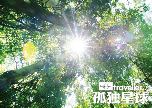 跃入森与海 澳洲黄金海岸的城市密语