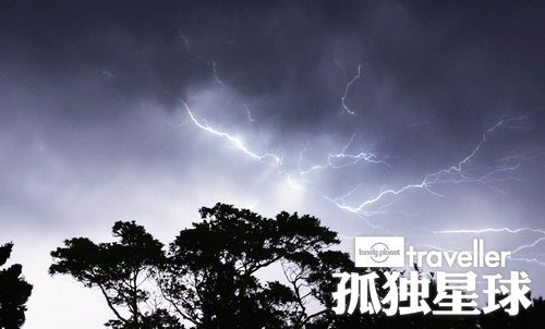 跃入森与海 澳洲黄金海岸的城市密语
