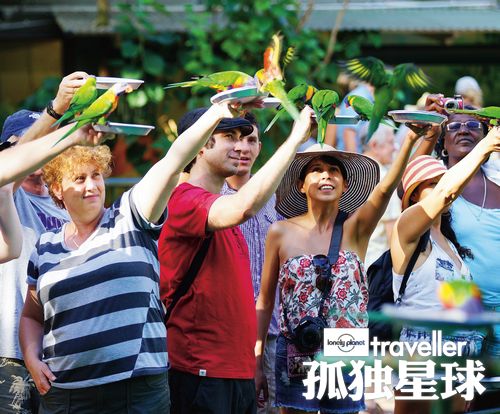 跃入森与海 澳洲黄金海岸的城市密语