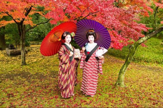 唯美温婉！实拍日本艺妓浮世掠影