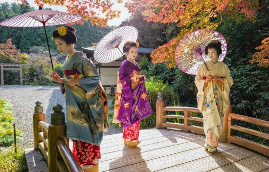 唯美温婉！实拍日本艺妓浮世掠影