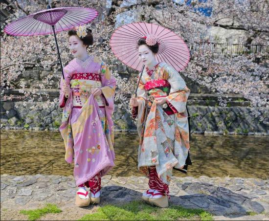 唯美温婉！实拍日本艺妓浮世掠影