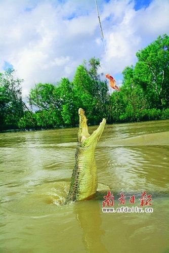 在世界中心呼唤爱 澳洲北领地自驾之旅