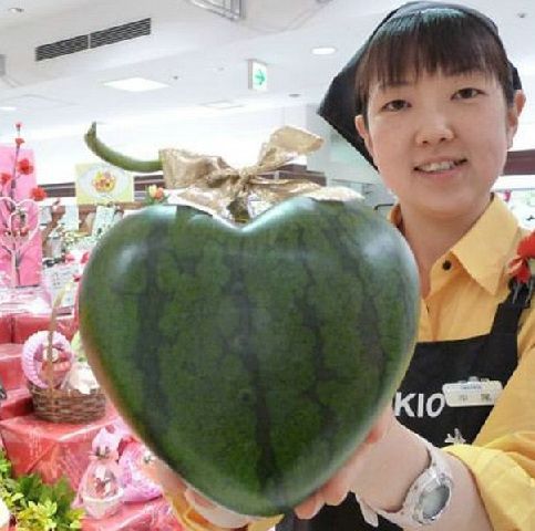 只有在日本能看到的惊人一幕