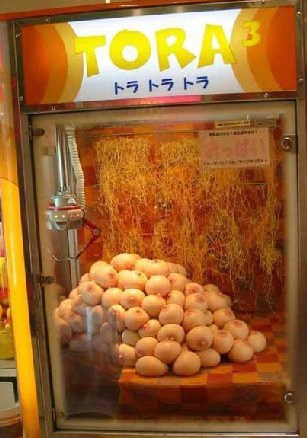 只有在日本能看到的惊人一幕