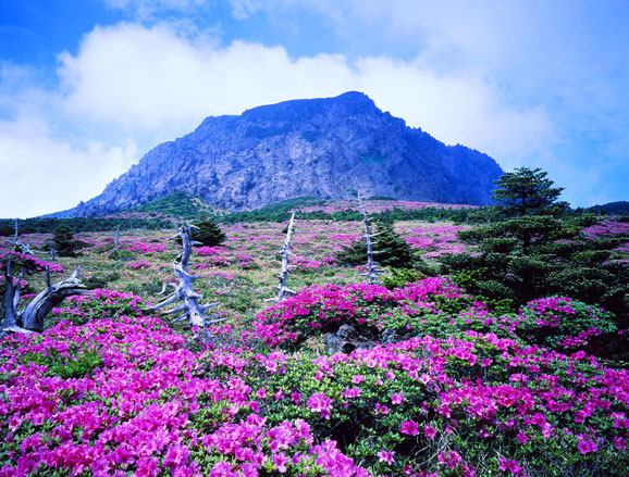 自驾济州岛 恋风恋歌一路美景(图)