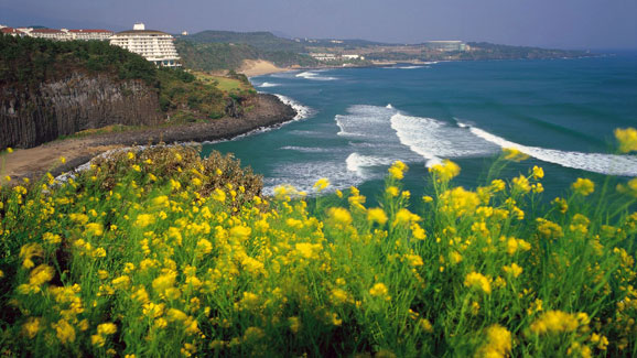 自驾济州岛 恋风恋歌一路美景(图)
