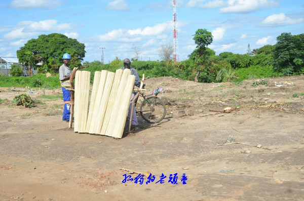 亲历赞比亚小镇市场 小鱼干一桶3元好便宜