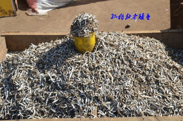 亲历赞比亚小镇市场 小鱼干一桶3元好便宜