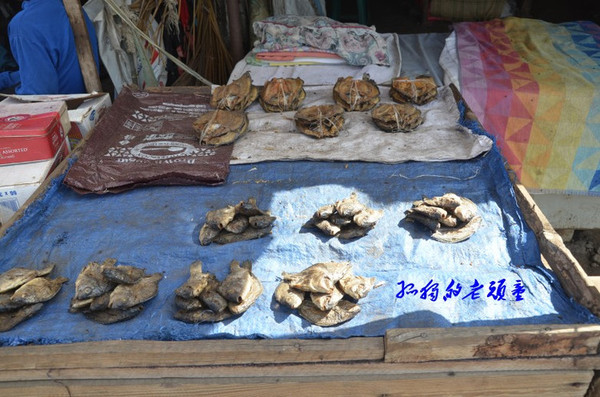 亲历赞比亚小镇市场 小鱼干一桶3元好便宜