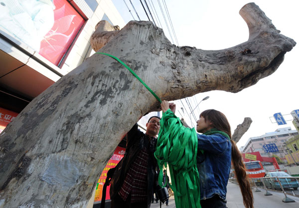 Fate of Nanjing's trees firmly rooted among the public