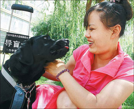 Guide dogs encounter blind spot