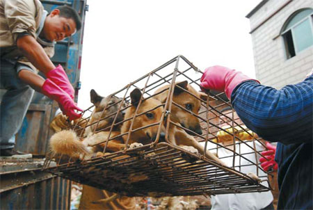 Controversy dogs popular ancient cuisine