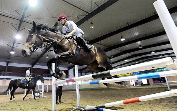 Growing demand spurs greater horseplay