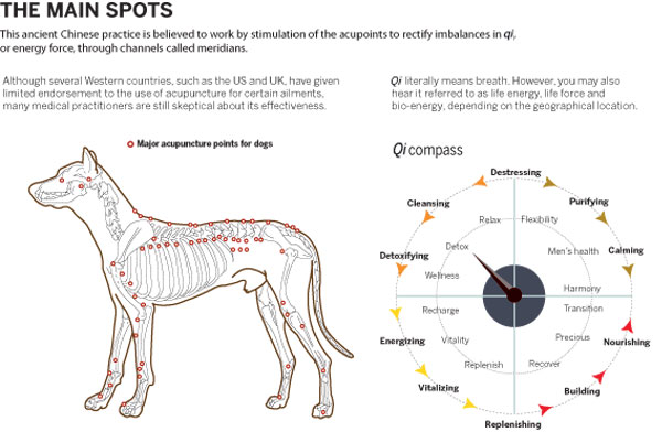 Animals benefit from pin-point accuracy