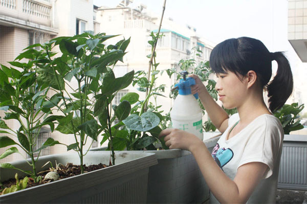 Green fingers and green houses