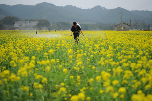 Working for a beautiful China