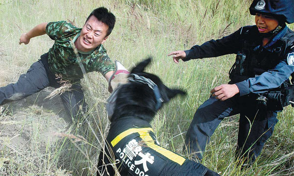 Police dogs sink teeth into terror fight