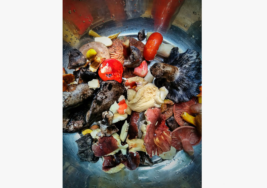 Food