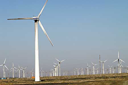 HK power major plans wind farms