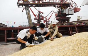 China produces slightly less early rice in 2014