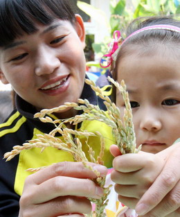 Greenpeace: Climate change threatens China's food safety