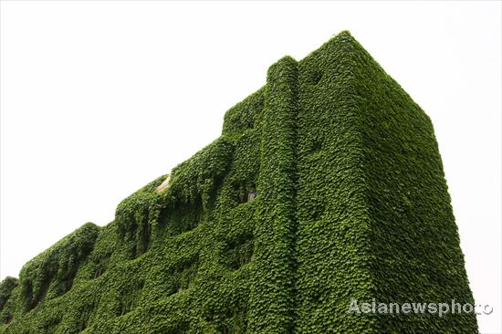 Green building in Hubei
