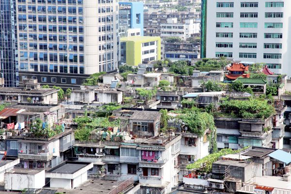 Green rooftops help clean up Beijing's air