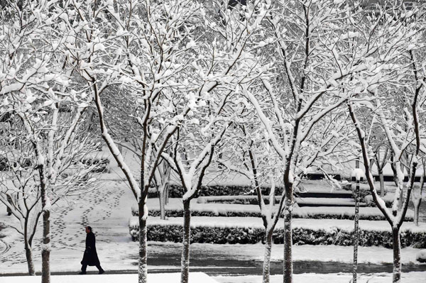 Beijing blanketed by spring snow