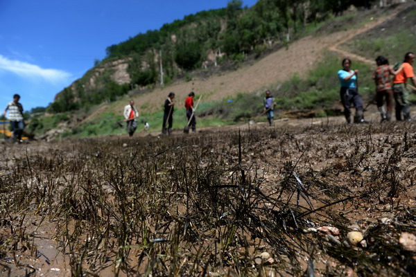 Oil spill pollutes river in NW China