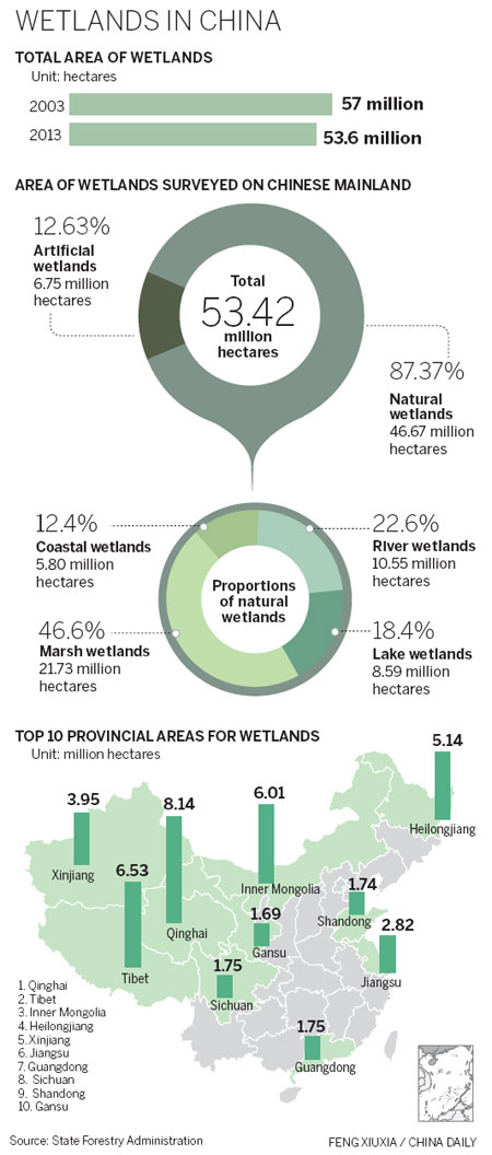 Shrinking of wetlands spurs call for regulation