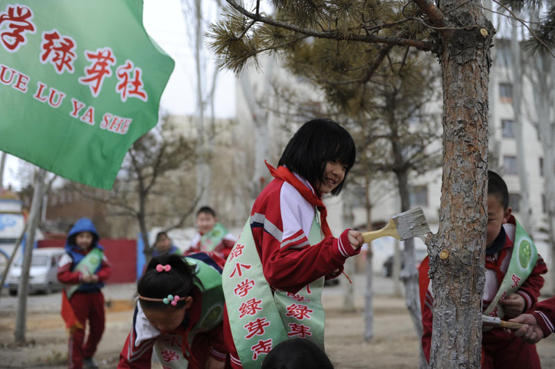 Tree planting boosts China's green drive
