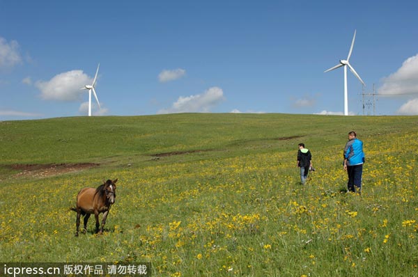 China remains top destination for clean energy investment
