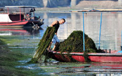 China mulls amending water pollution law