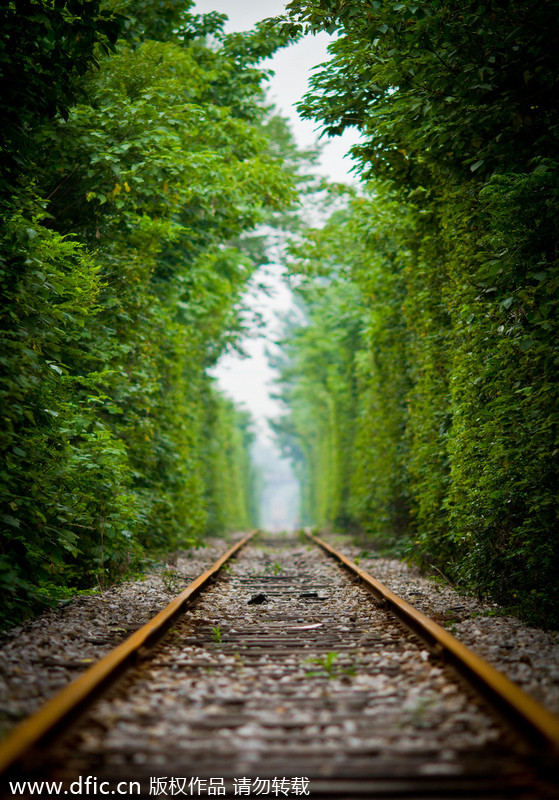 'Most naturally beautiful' railroad