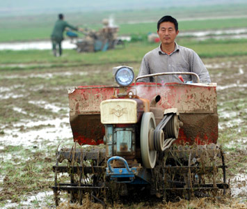 Snow-ravaged agriculture sector recovering