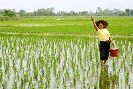 Pledge not to stop rice exports lauded
