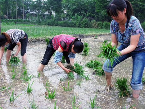 Farmers need safe place to keep crops